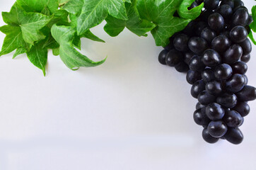 Dark blue grape with leaves isolated on white background. Wet fruit. With clipping path. Full depth...