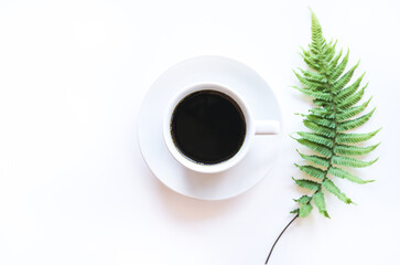 Top view of dark hot coffee in white coffee cup with green fern leaves on white background, Minimal style concept. 