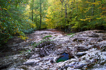 Rocky bed of a mountain stream.