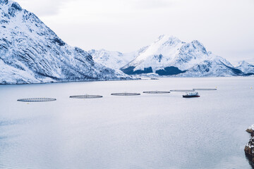 Snowy mountains on seashore with fish farm in Norway