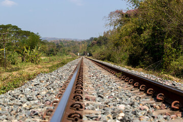 Railway station against beautiful to the forrest. Industrial landscape with railroad with trees in rural area. Transportation
