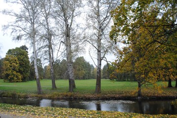autumn in the park