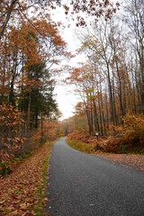 autumn road in wales