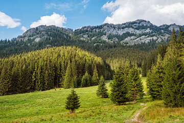 Fototapeta na wymiar Ohniste rock massif, Low Tatras mountains, Slovakia
