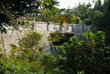 Fototapeta premium view of the park