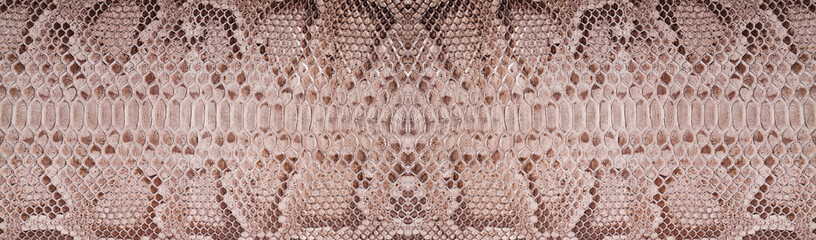 Natural snake skin is used for luxury clothes and accessories