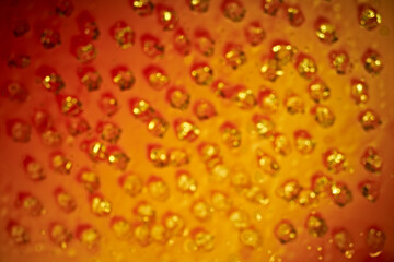 Multicolored elements for abstract design background.