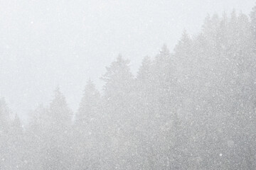 Winter landscape background with falling snow and spruce forest and mountains silhouette.