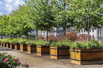Paris Jardin Atlantique (Atlantic Garden). Atlantic Garden is a public park and garden located on...