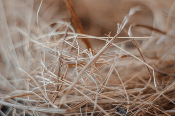 Hay texture. Hay bales are stacked in large stacks. Harvesting in agriculture.