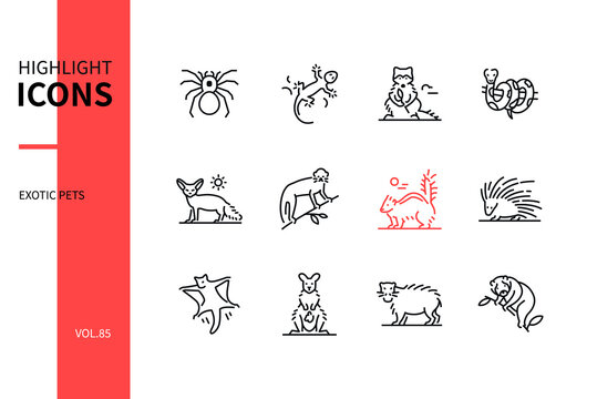 Exotic pets - modern line design style icons set