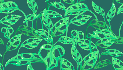 Naklejka premium The Adanson’s monstera. Monstera adansonii seamless background. Vector illustration of houseplants
