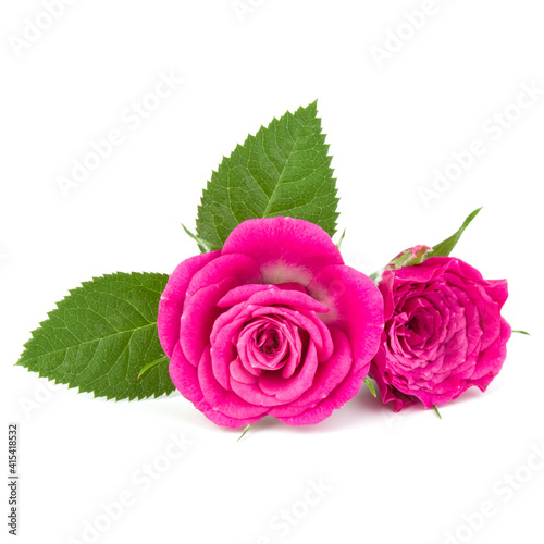 Pink Rose Flower Bouquet Isolated On White Background Cutout Wall Mural Natika