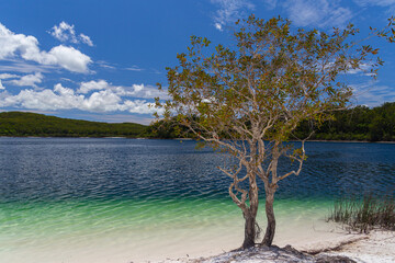 Fototapeta na wymiar Lake McKenzie on Fraser Island in Queensland, Australia
