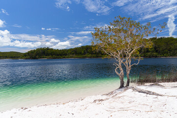 Lake McKenzie on Fraser Island in Queensland, Australia