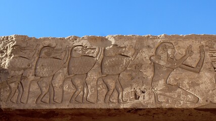 Monkey carvings on the wall of Habu temple in Luxor in Egypt