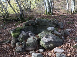 stone well in the forest
