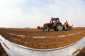 Obraz premium Farmers drive planters to grow potatoes on the farm.