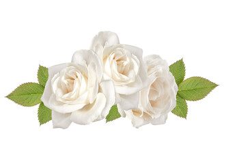 three white rose flower heads with leaves isolated on white background cutout