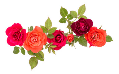 colorful rose flower bouquet with green leaves isolated on white background cutout