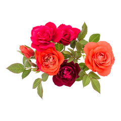 colorful rose flower bouquet with green leaves isolated on white background cutout