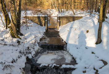 nature area waterloopbos in holland