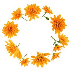 Fototapeta premium Chrysanthemum Flowers composition. Round Frame made of orange flowers on white background, without shaddows. Festive background. Flat lay, top view, copy space.