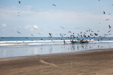 Fishing in the Pacific Sea - Tumaco Colombia