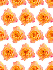 Orange rose. Seamless pattern.