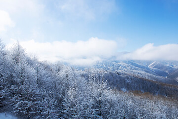 snow covered mountains