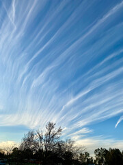 cirrus clouds blue sky