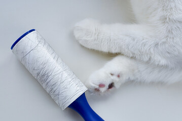 Roller for cleaning clothes in the cat's fur.