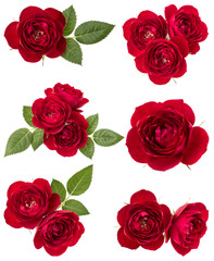 Collection of red roses isolated over white background. Set of different bouquet. Flat lay, top view. - 415429731
