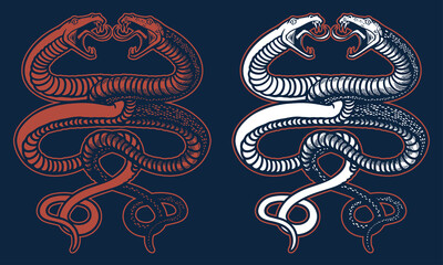 vintage twin snake premium illustration