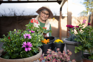 
Woman taking care of her garden, planting flowers and watering them