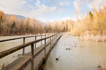 Old wood footbridge on lagoon, rural landscape