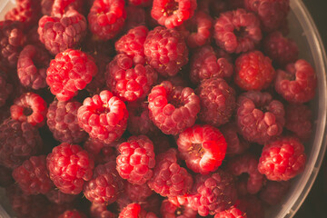 Summer. Red sweet raspberries in a bucket close up. Macro photo of raspberries. Photo of raspberries for background. Summer raspberries.