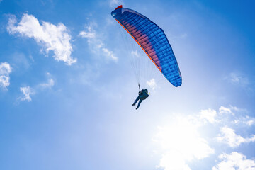 静岡県賀茂郡東伊豆町　細野高原とパラグライダー