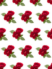 two red rose flowers  isolated with leaves over white background cutout. Floral seamless pattern..