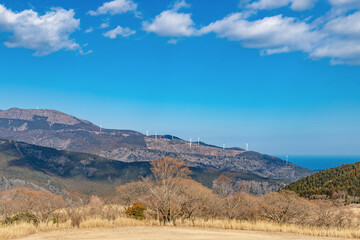 Naklejka premium 静岡県賀茂郡東伊豆町 冬の細野高原の風景