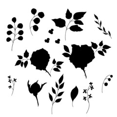 Black silhouette of roses and leaves. Vector illustration.