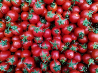 Tomato.  Cluster small tomatoes. Red tomato.