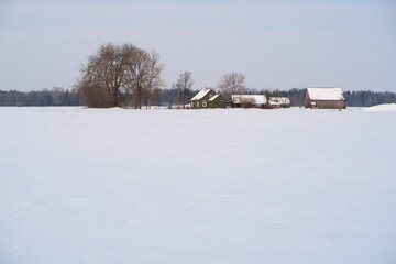 Fototapeta premium Lithuanian village, winter landscape, lots of snow.