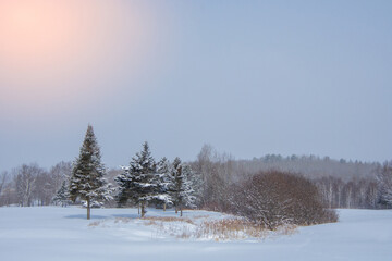 Winter landsacape on the countryside