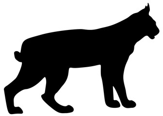 Large wild lynx. Vector image.