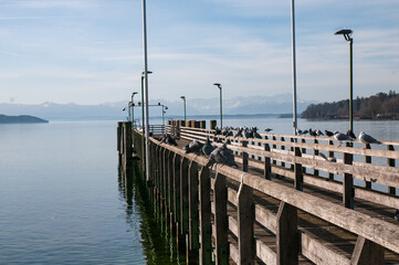 Starnberger See