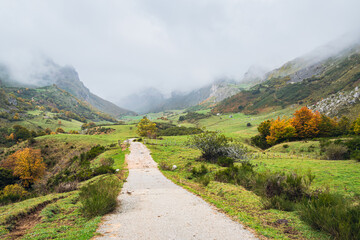 Naklejka na ściany i meble Road in a valley in Somiedo National Park in Asturias, Spain on a rainy autumn day. Scenic autumnal landscape of Northern Spain.