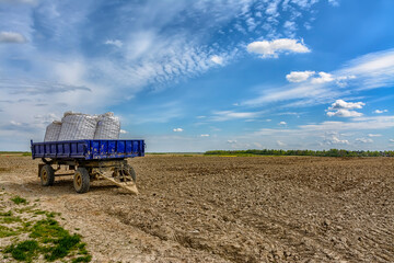Agricultural work in the field in spring.