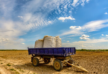 Agricultural work in the field in spring.