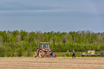 Agricultural work in the field in spring.